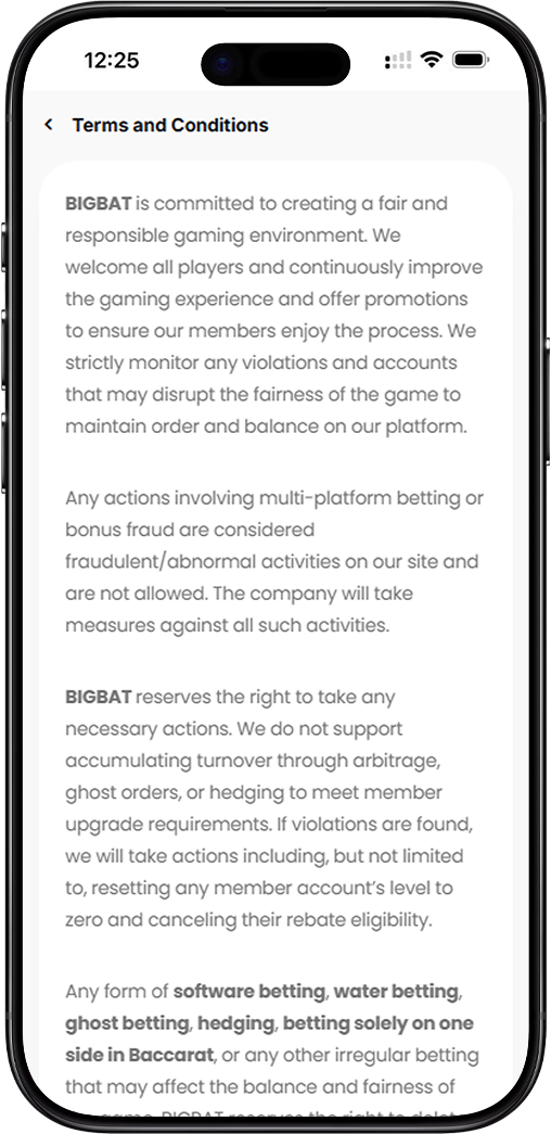 BIGBAT Terms and Conditions Mobile